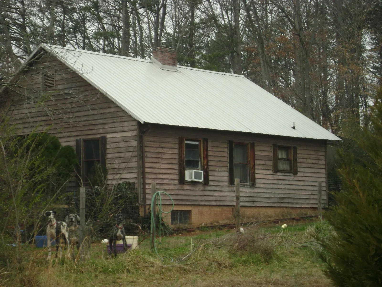 White metal roof on an old wood sided farmhouse, from a Metal Roof Installation job in Sutter Creek